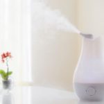 Humidifier emitting steam next to a small potted plant, enhancing indoor air quality by Atlantic Heating & Air Conditioning.