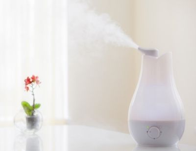 Humidifier emitting mist in a bright indoor setting, alongside a small potted plant, illustrating the importance of maintaining optimal humidity levels for home air quality.