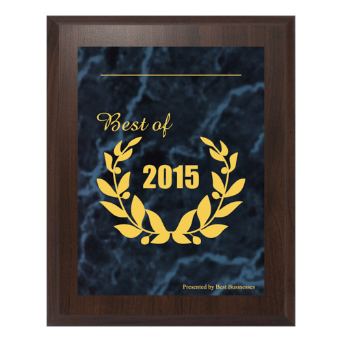 Award plaque titled "Best of 2015" featuring a gold laurel wreath design, presented by Best Businesses, symbolizing recognition in the heating and cooling industry.